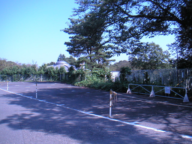 PICT0035.JPG