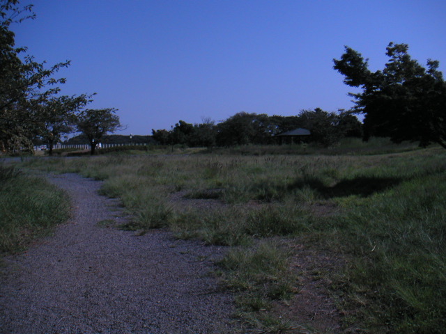 PICT0038.JPG