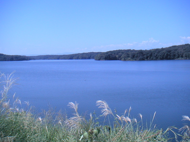 PICT0064.JPG