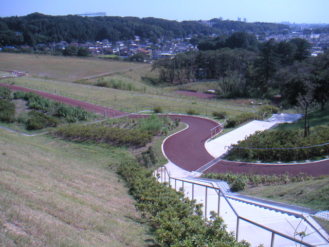PICT0049.JPG