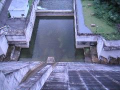 PICT0037.JPG