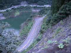 PICT0042.JPG